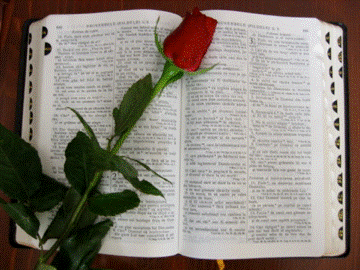 Biblia Con Rosa